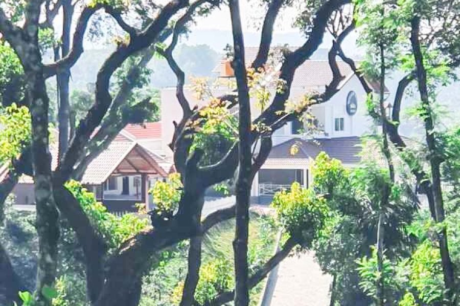 Willow Hill Homestay